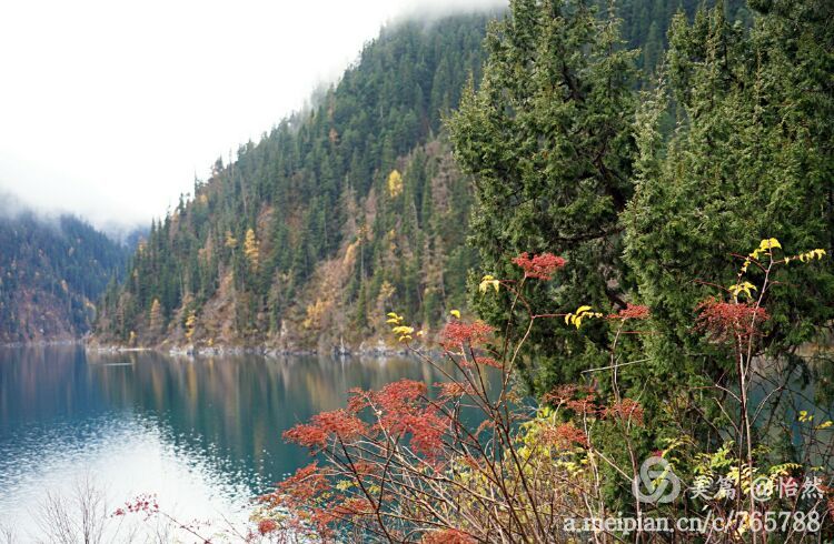 九寨沟让人失语的美丽童话世界,九寨沟有没有童话世界的景点