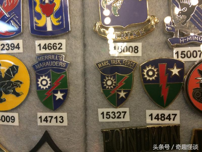 在美国旅游日常,在美国旅游攻略大全最新