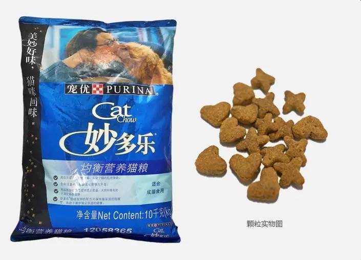 猫粮大盘点｜你家猫咪适合哪一款？