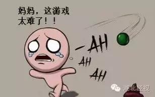 国足里皮在世界杯中的发言,国足里皮谈年薪