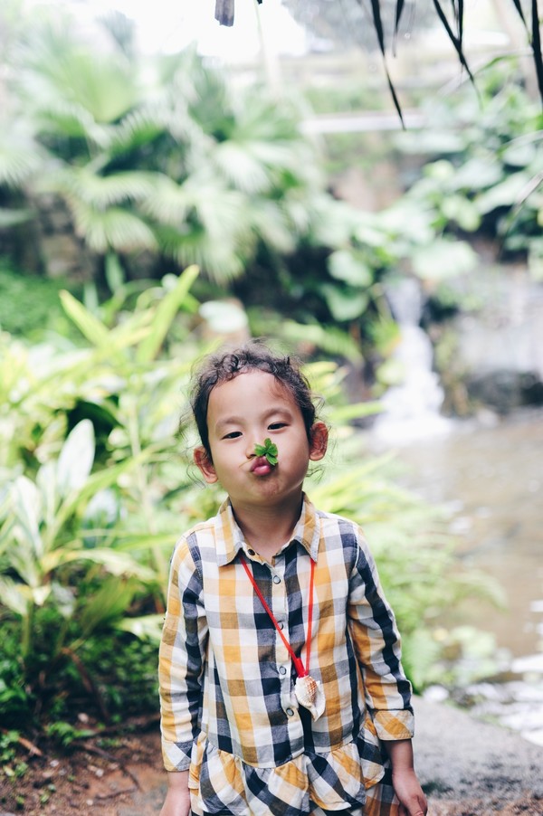 两大两小的厦门四日游