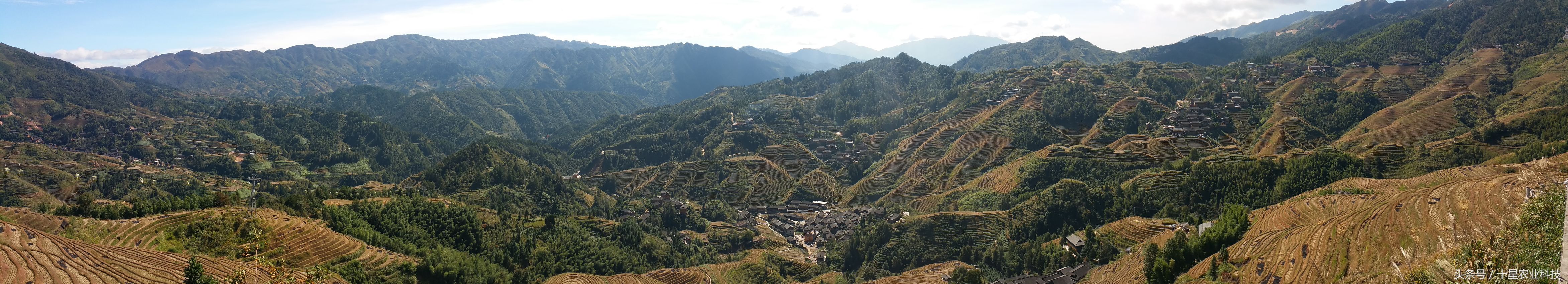 龙胜瑶族大寨龙脊梯田，原创拍摄几十图，有美女出镜哦！