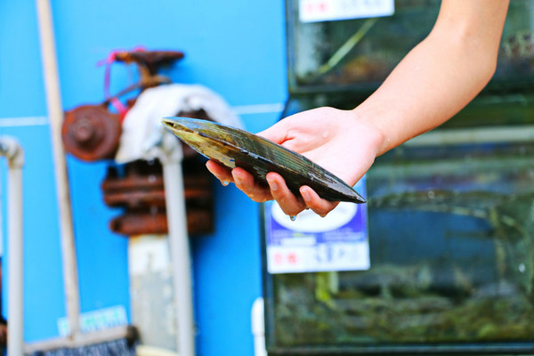 三亚最美的地方在哪里,三亚世界上最美的海在哪里