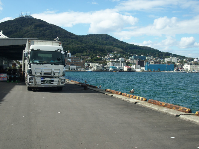 初秋日本快步东京，慢行北海道，泡汤美食8日