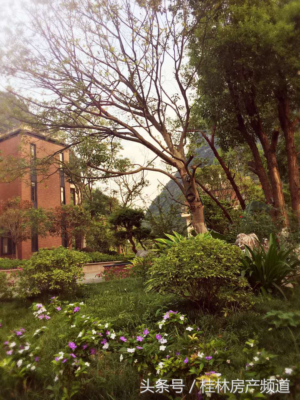 逃离城市寻找生活,远离城市的喧嚣寻找心灵的净土