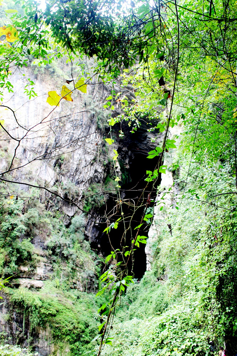 印象武隆属于什么档次,重庆旅行攻略观夜景