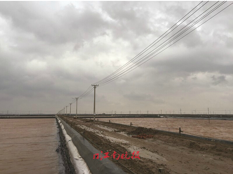 盐价为什么大幅度上涨,盐价涨吗