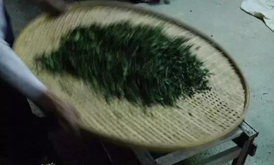 铁观音红镶边是怎么去除的,铁观音叶子为什么那么绿