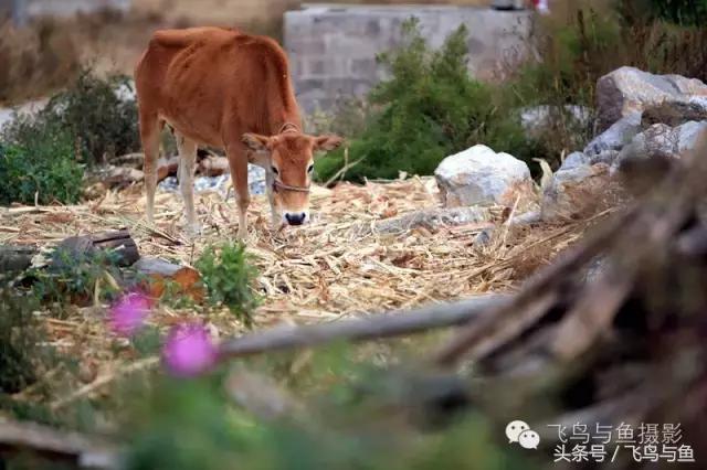 最好的旅程是在家陪伴,最好的旅行是陪伴