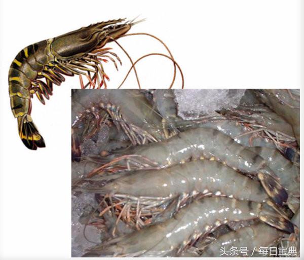 舌尖上的龙虾,品尝正宗龙虾美食的感受