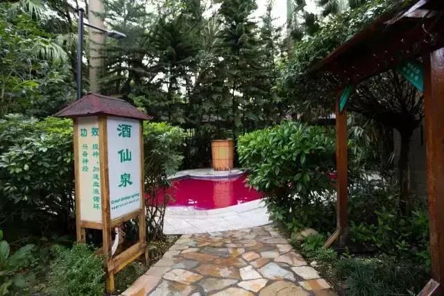 想在佛冈嗨翻天?这条路线一定让你热血沸腾!