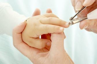 神奇的嵌甲,巨大隐藏嵌甲