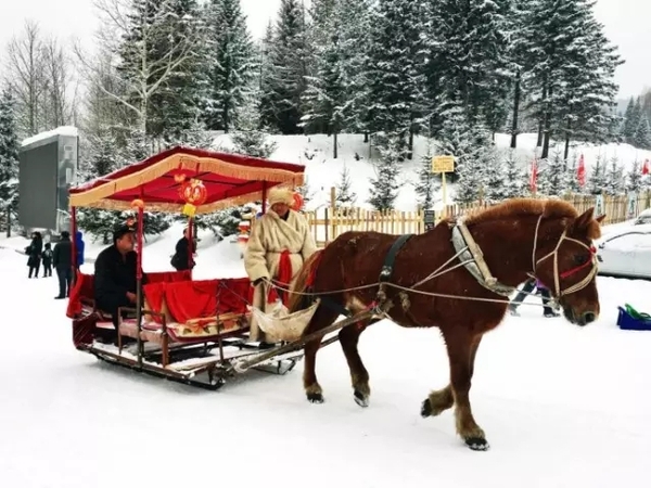 遛娃必去的乐园,遛娃好去处娃娃发现的小乐园