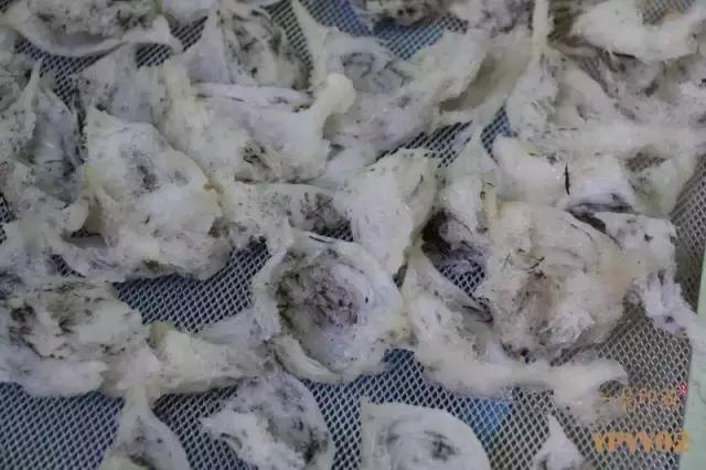 鲜炖燕窝七年老店,新鲜现炖燕窝店铺