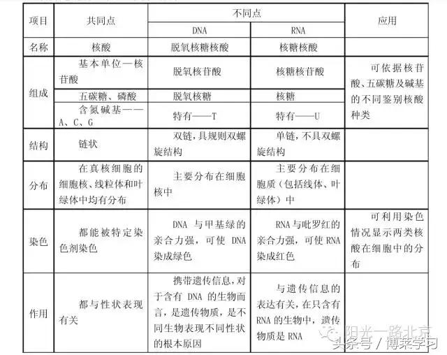高一生物知识点全部归纳思维导图,生物高一必背知识点口诀