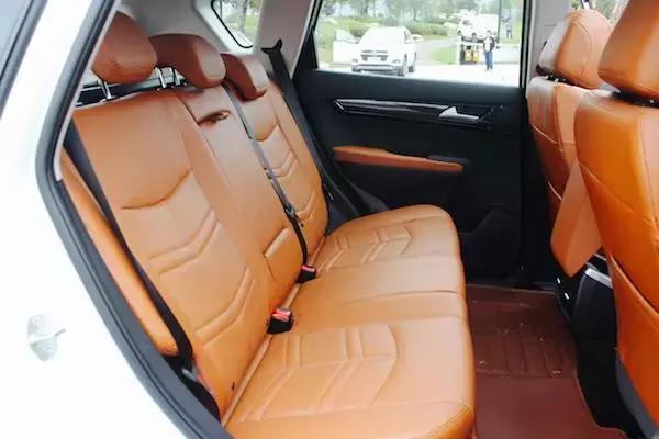 老树开新花七绝,老树开新花枯树发新芽