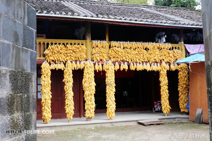 无畏前行与奥迪q7赴一场异域之约,奥迪q7开拓人生无畏前行