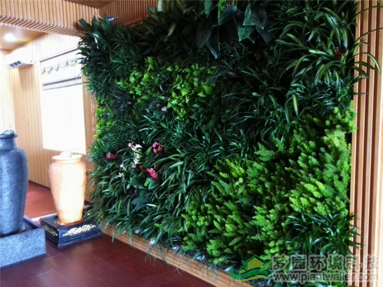 植物墙的弊端,植物墙实用吗