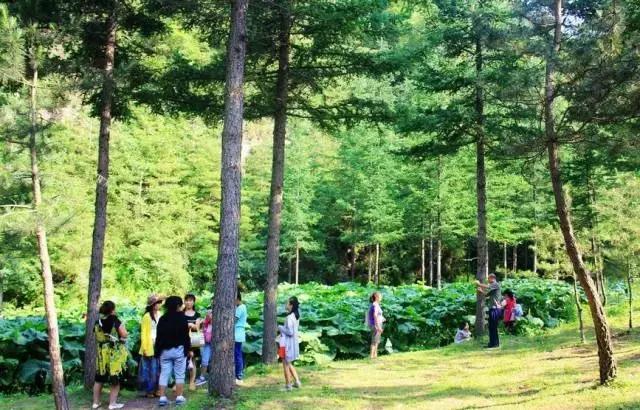 只有新疆人才能看懂的视频,只有1%的人才能看懂的东西