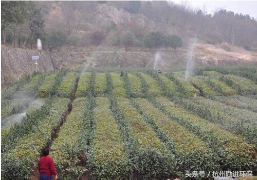 砂石过滤器和网式过滤器,过滤器袋式