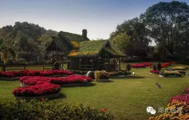 武汉秋天不可错过的美景,武汉踏春打卡地