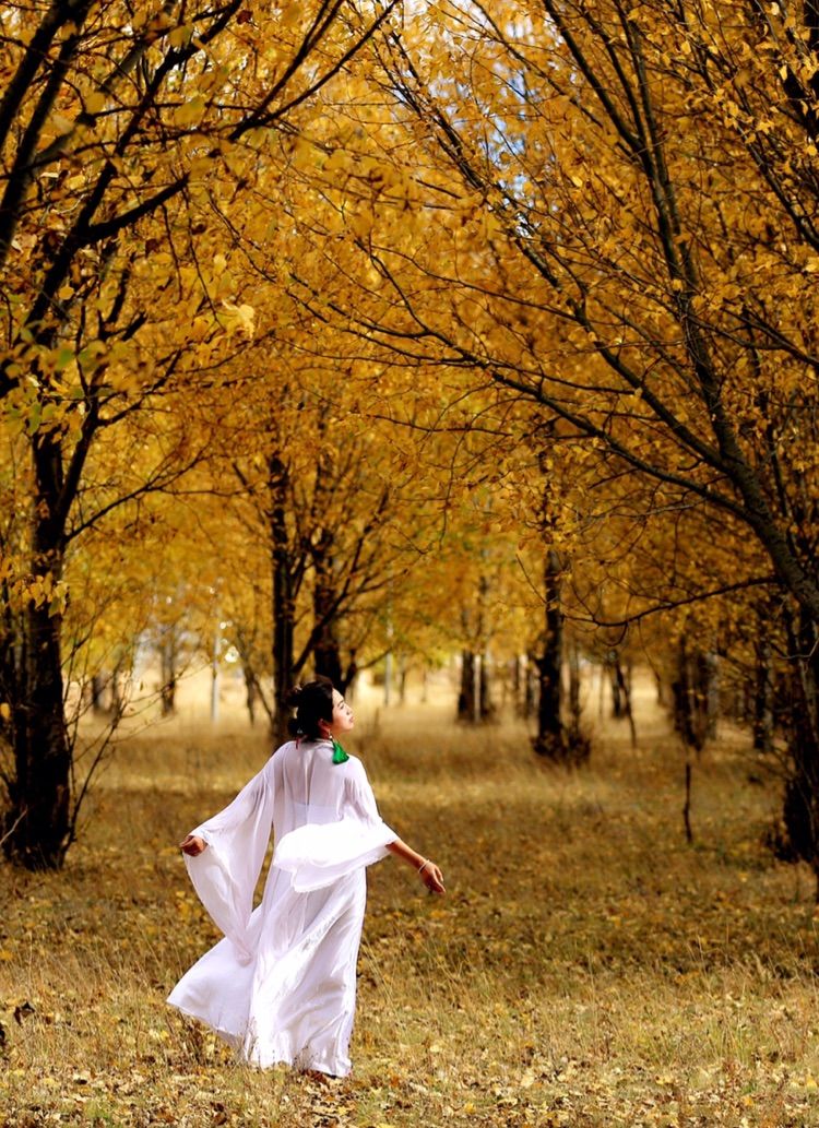 我在秋天等你是什么歌,我在秋天等你美到心碎散文