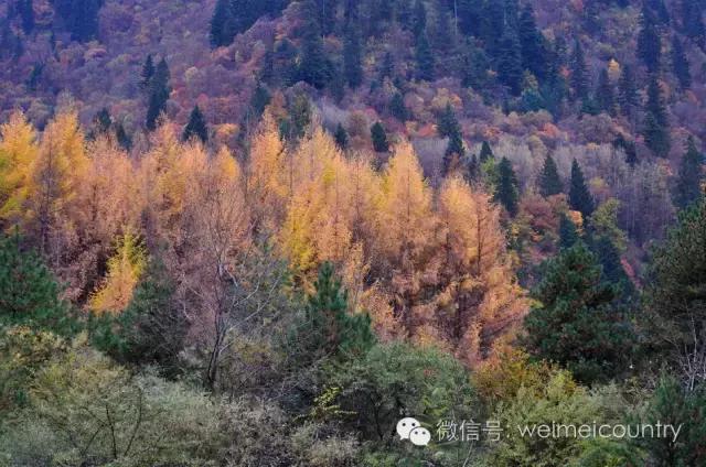 羊茸哈德村落照片,羊茸哈德附近景点