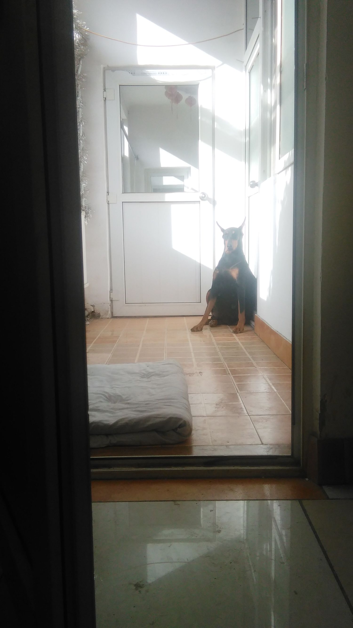 分享产房喜悦,分享产房故事