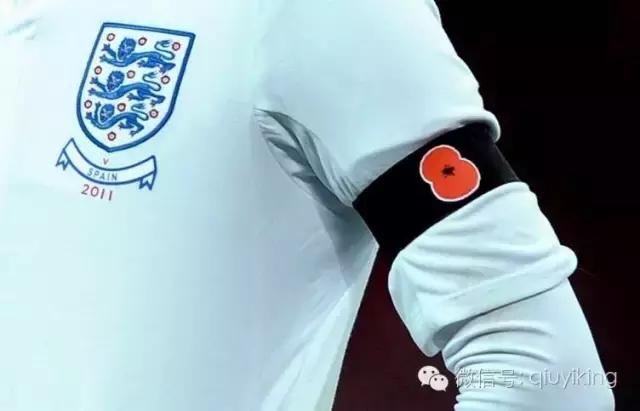 为了一朵花喝了一瓶酒,为了一朵花放弃一整个花园值吗