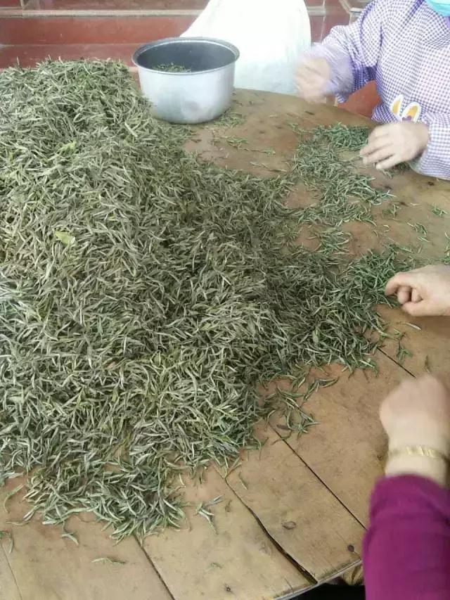 聊聊白茶的那些故事,一起来聊聊那些年的事儿