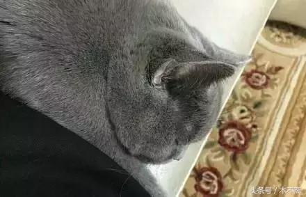 鹿晗对你心动的瞬间,鹿晗的对你爱不完