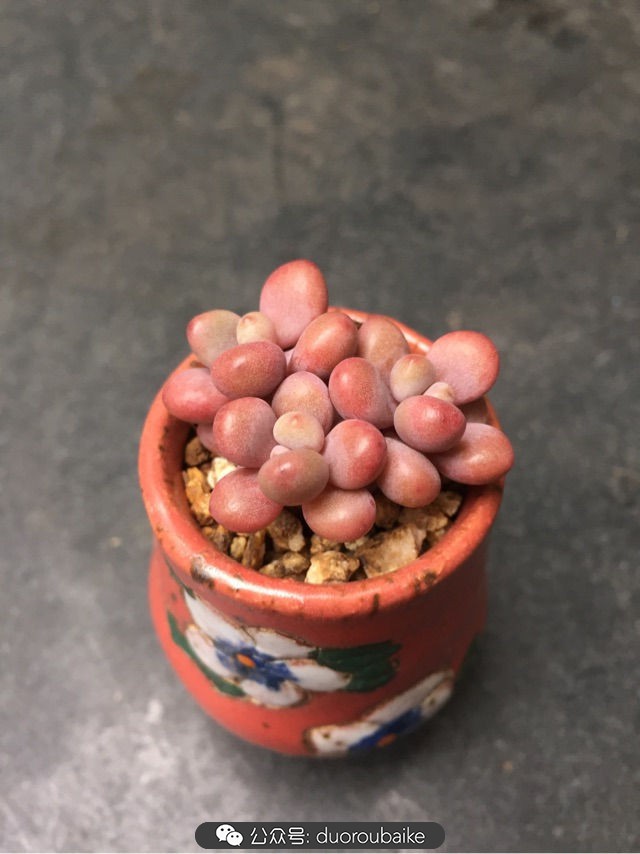 谈谈我对自己的看法,谈谈我对恋爱的看法