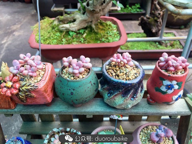 谈谈我对自己的看法,谈谈我对恋爱的看法