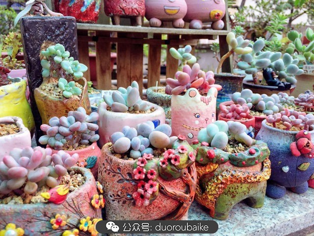 谈谈我的看法和感想,谈谈我对自己的看法