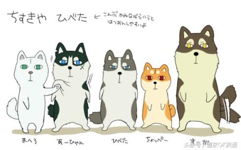 能看懂这封信，你的英语就在四六级之间！