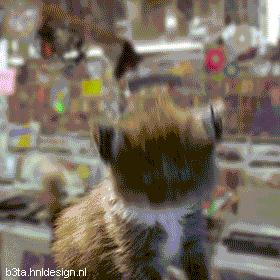 如何控制自己生的是男孩女孩,男生如何控制自己生的是男孩女孩