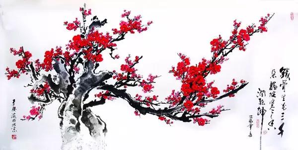 看梅花的千姿百态,看各种梅花