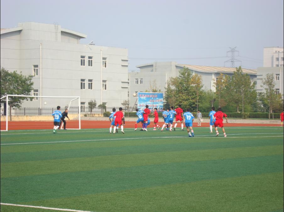 足球疯狂球迷视频,足球疯狂球迷冲场庆祝