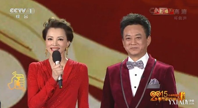 猴年央视春晚主持人,猴年春节联欢晚会主持人