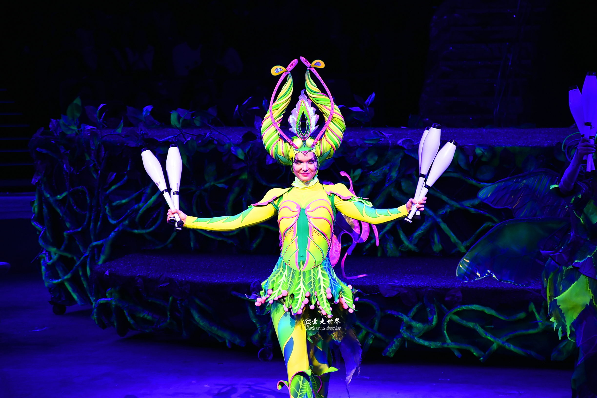 住马戏酒店游玩攻略,新年玩乐好地方