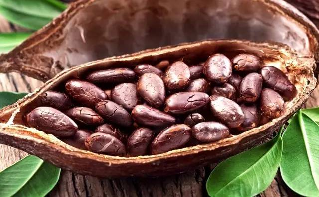 当寒冷的冬天遇上暖阳,当寒冷的冬天遇上温暖