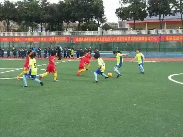 小学校园足球改革经验和突出成果,校园足球改革成果
