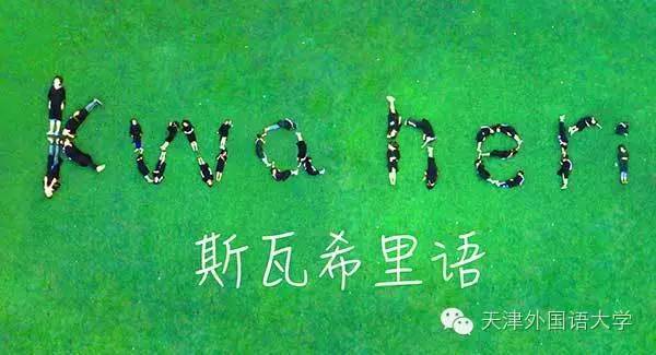 现在比较值得学的小语种,目前还值得学习的小语种