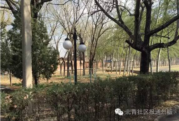 首师大附中通州校区实验班,采访师大附中