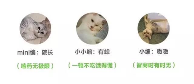 决战双十一发货现场,双十一囤哪些货