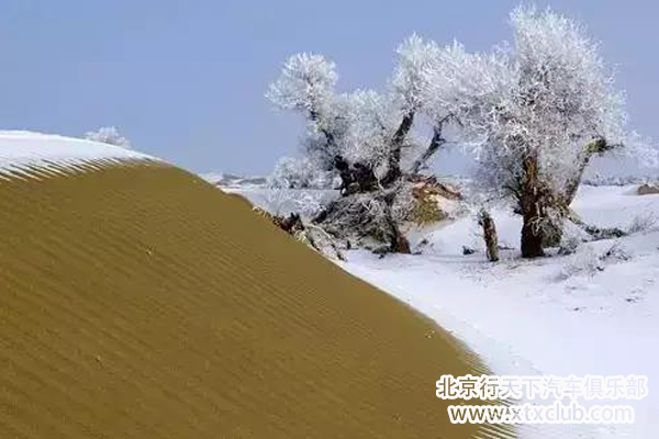大漠传奇——冬季自驾库布其金色沙海