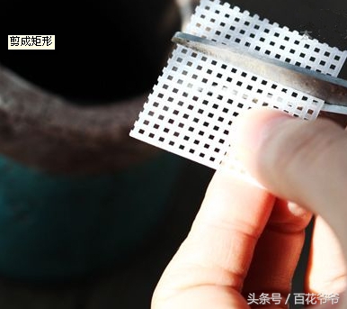 老肉友手把手教你学会韩国进口多肉的定植方法（配图哟！）