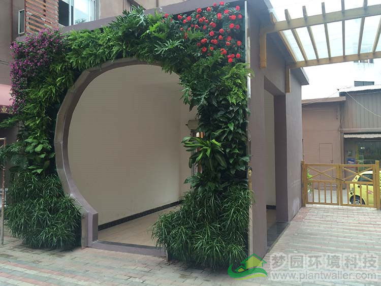 植物墙的弊端,植物墙实用吗