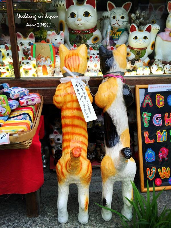 霓虹国秋日暴走之旅,漫步日本旅行游记