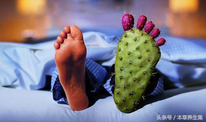 3味中药茶饮,轻松解决尿酸高问题,可预防痛风发作!